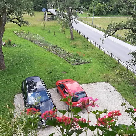 Encijan * Bohinji-tó