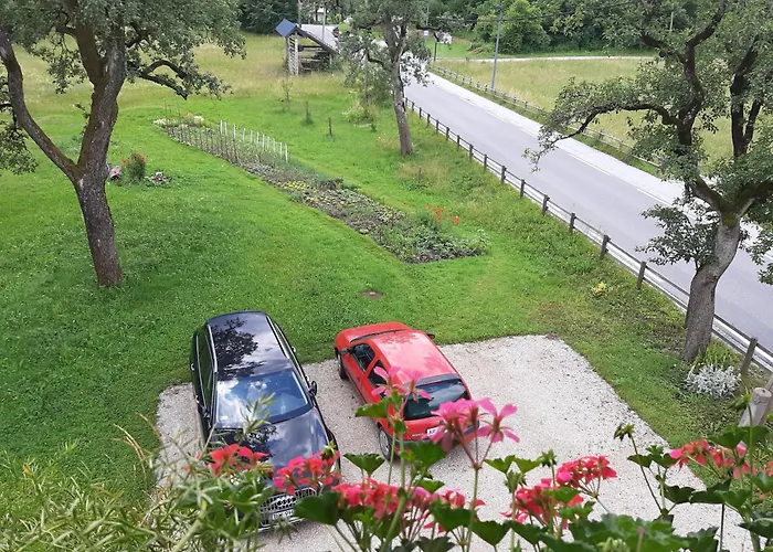 Encijan * ボーヒニ